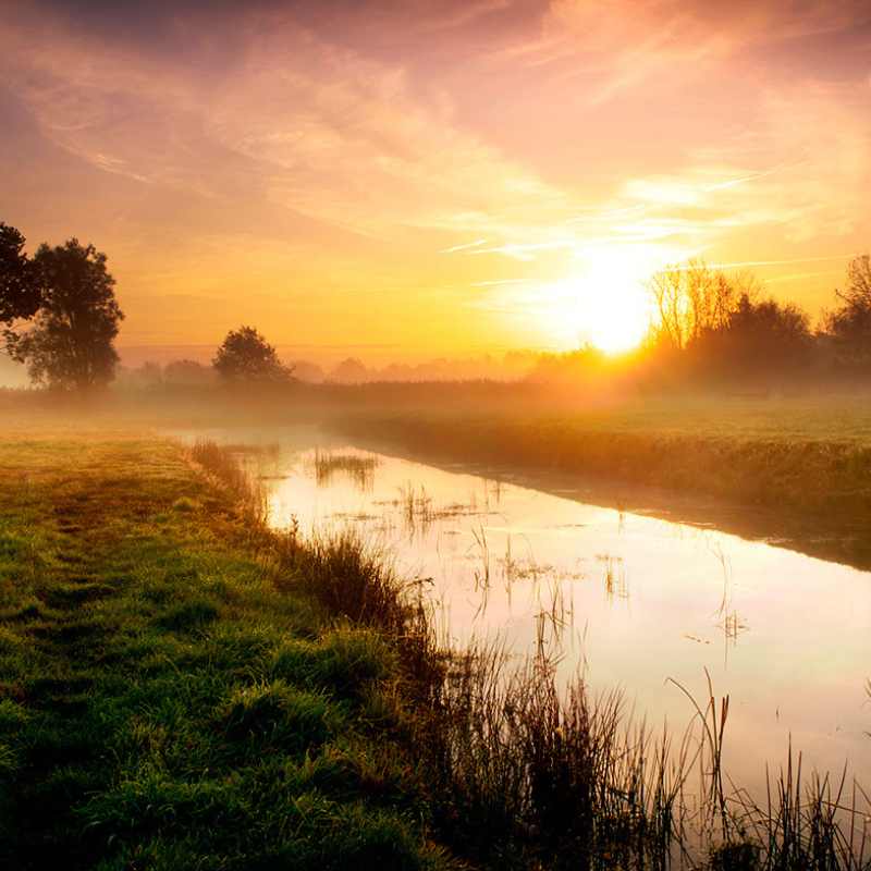 Norfolk Broads in the Winter