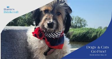 Dogs go free promotion, with image of a dog in a sailors hat on a holiday boat